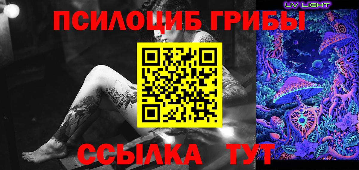 Псилоцибиновые грибы Cubensis Рассказово